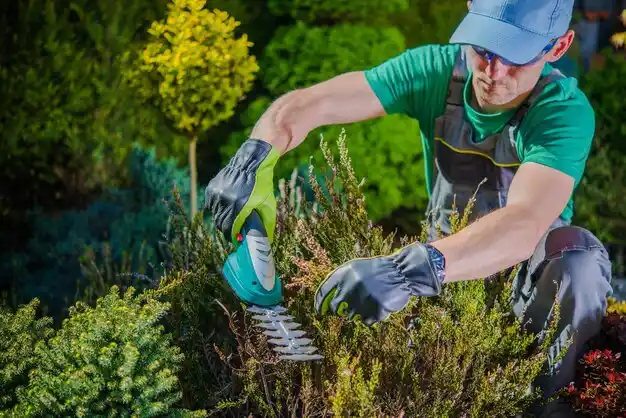 landscaping services Lynbrook